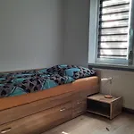 New Island S 