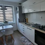 New Island S 