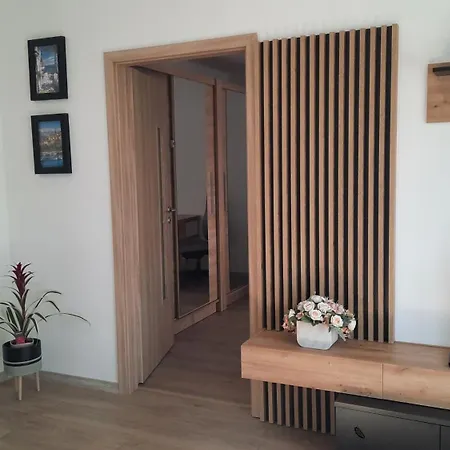 Apartment New Island S 